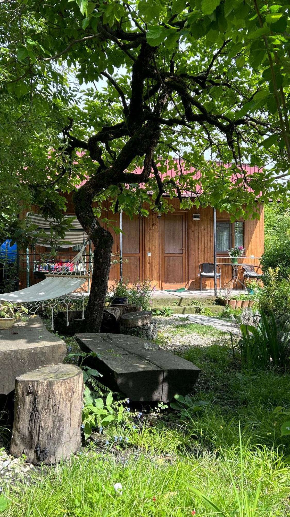 Ludwig Guesthouse Lagodekhi Exterior foto